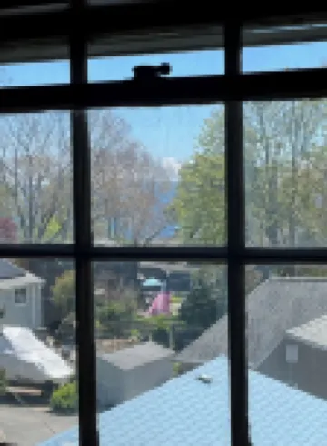 Blue Magnolia - A quiet apartment in a quaint Gloucester MA village