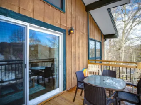 Ski in/out, AC, Gas Fireplace, Wifi, Coffee Bar, 1 Dog ok! Hotels in Avery County