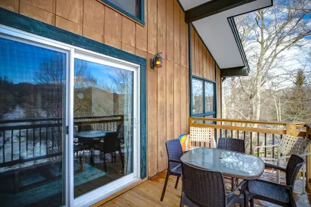 Ski in/out, AC, Gas Fireplace, Wifi, Coffee Bar, 1 Dog ok!