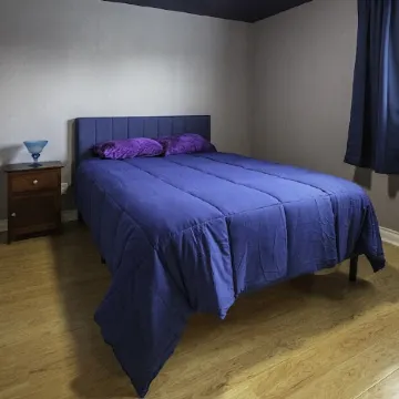 Downtown Boulder Oasis. 3 Blocks from Pearl St Mall. 4 bedrooms and 2 full baths