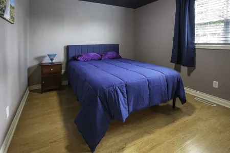 Downtown Boulder Oasis. 3 Blocks from Pearl St Mall. 4 bedrooms and 2 full baths