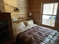 Little Log Cabin in the Big Woods