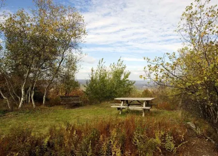 Remodeled Kids Friendly Townhouse 3 min away from Camelback mountain