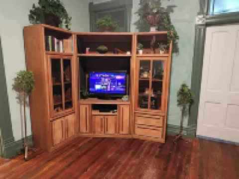 RiverView Lux: 420 Friendly Green Room, with a secret room search