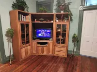 RiverView Lux: 420 Friendly Green Room, with a secret room search