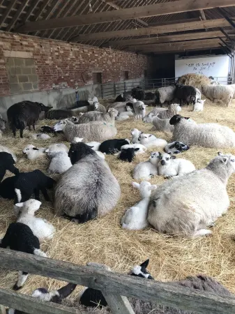 The Brick Barn at Warborne Farm