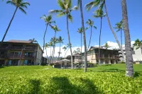 Lily's Kona Hideaway-Oceanfront & AC on Demand