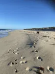 Your Winter Escape! Wood Fire, Fast Internet, Netflix, Beach.. Hitting the Spot! Hotels in Guilderton