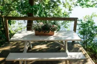 Nature lovers Paradise your own island