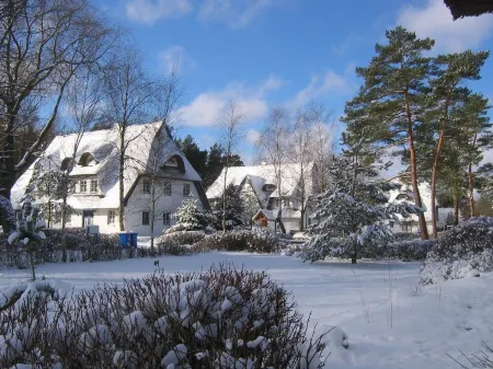 Vacation apartment in a thatched house, directly on the beach for 2-4 people