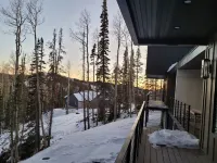 Modern Scandinavian cabin steps away from slopes.  Ski-in-Ski-out with Jacuzzi!