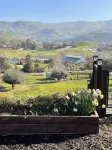 Beautiful pool home in foothills close to Sequoia's- 빅 미도우 캠프그라운드 주변 호텔