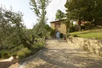 Villa Vestra in Vinci holiday home