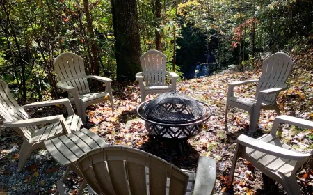 Waterfall House near Brevard, NC - Waterfalls and stream - Close to Asheville