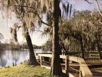Retreat with Private Caged, Salt Water Pool, 4 Bd/3 Ba, Near Busch Gardens & USF