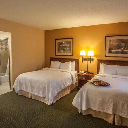 Hampton Inn & Suites Stillwater Отели в г. Пейн