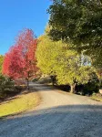 Piney Creek - Deerwood Park Cozy Mountain Cabin w/ 360 views & private pavillion