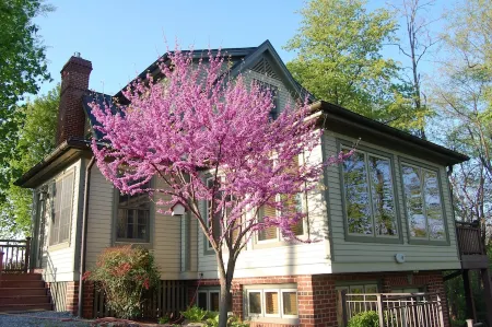 Historic "BREECHES POCKET" Civil W Era Log House /No Rentals after Dec. 31 2025