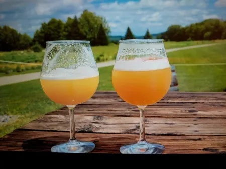 Northwoods Studio Suites minutes from Craftsbury Outdoor Center. Pet friendly!