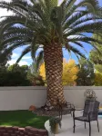 POOL & /SPA. 9 hole Mini putt in yard. Walk to Golf Course. 3 Bedrm, bungalow Hotels near Cactus Garden Dr