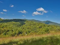 Private & Peaceful A-Frame Cabin - Gas Gift Card Promo - See Description Hotels in Yancey County