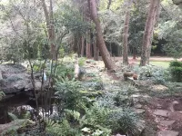 Charming High Point Historical Home only minutes from HPU and Furniture Market - 방갈로