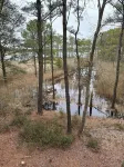 Quiet coastal retreat, minutes from Ocean City, MD, full kitchen.