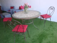 2 to 3 person gîte with jaccuzi in Camargue on the banks of the Petit Rhône.