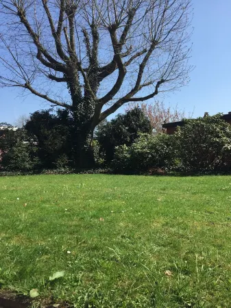 NEW! Modern 3-room apartment in Lüneburg, close to the city, quiet, outskirts Отели рядом с достопримечательностью «University of Lüneburg»