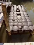 Love to Fish! We Have a Dock