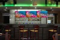 Wyndham Garden Los Mochis Plaza Inn - bar