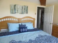 Direct Waterfront! 230ft of frontage. 6BRs, 2BAs and beautiful views!