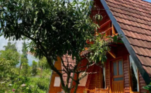 Wind's Cabin