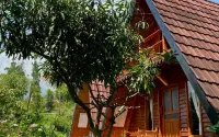 Wind's Cabin