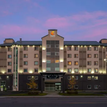 Comfort Hotel
