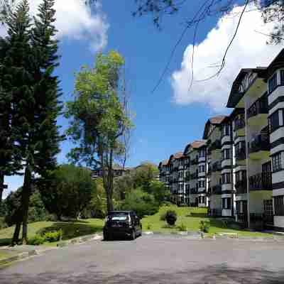 格林希爾度假村霍爾公寓 Others