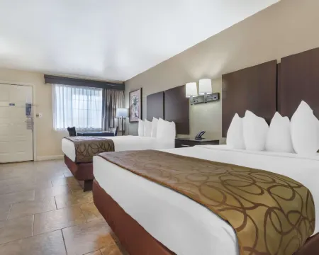 Best Western Padre Island Hotels in Corpus Christi