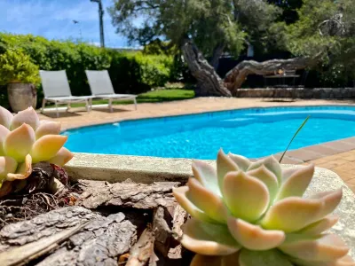 Anchor's Rest Hotels in der Nähe von Cliff Path