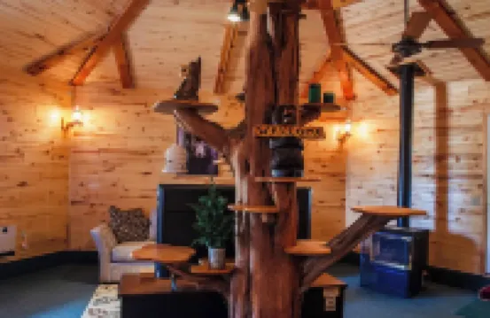 Bear Necessities Cabin, Mesa Verde Getaway