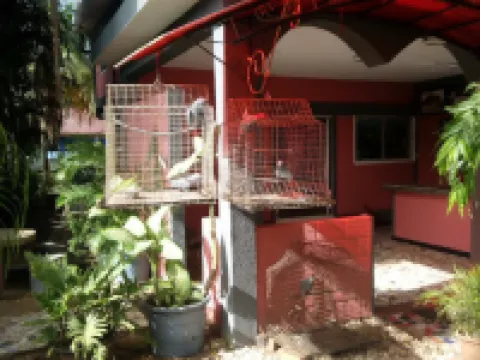 Whispering Palms Resort-Guest Room Hotels in Badagry