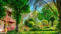 Vacation in a small park