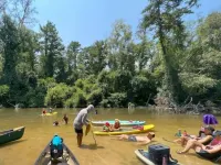 River Retreat 4acr Wood Paradise