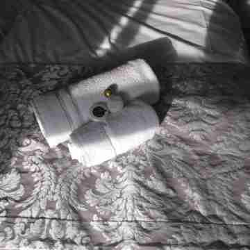 The Wellington Hotel Rooms