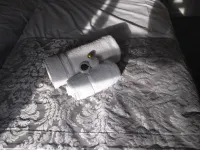 The Wellington Hotel Hotels in 