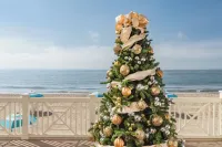 Rosewood Miramar Beach - Ocean View