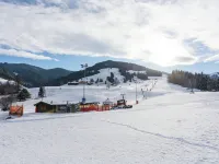 Classic Apartment Near Ski Area in Leogang