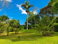 Room in Lodge - Tree House Finca la Floresta Verde Hotels in 