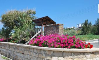 Villa Only 50m to the Sea, Sleeps 12, Polis