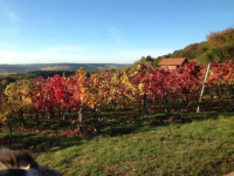 Haus & Hof Guest House Hotels in Perl