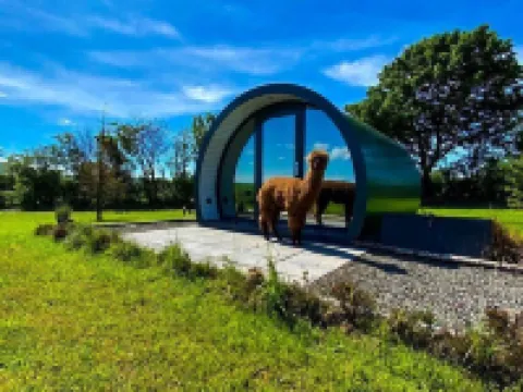 Black Knowe, Luxury Glamping Pods, Ballycastle Hotels in Ballycastle
